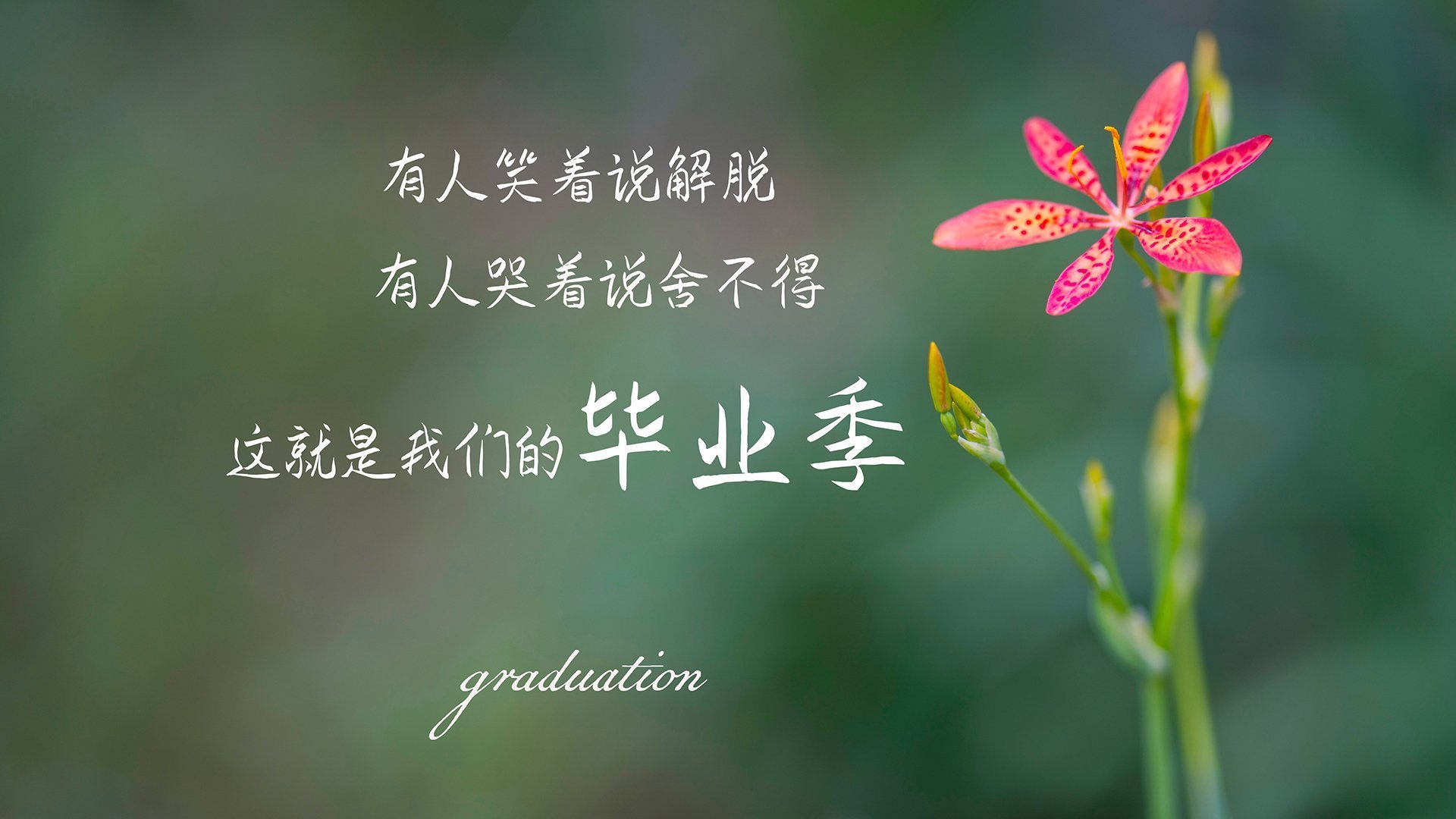 节奏混乱时是否应由队长发起战术重置，节奏乱了什么意思